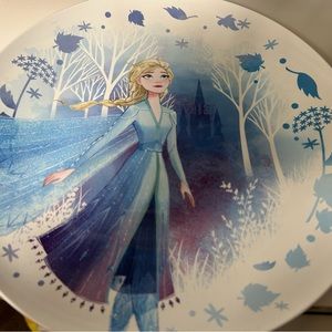 Frozen Plates/Food Tray